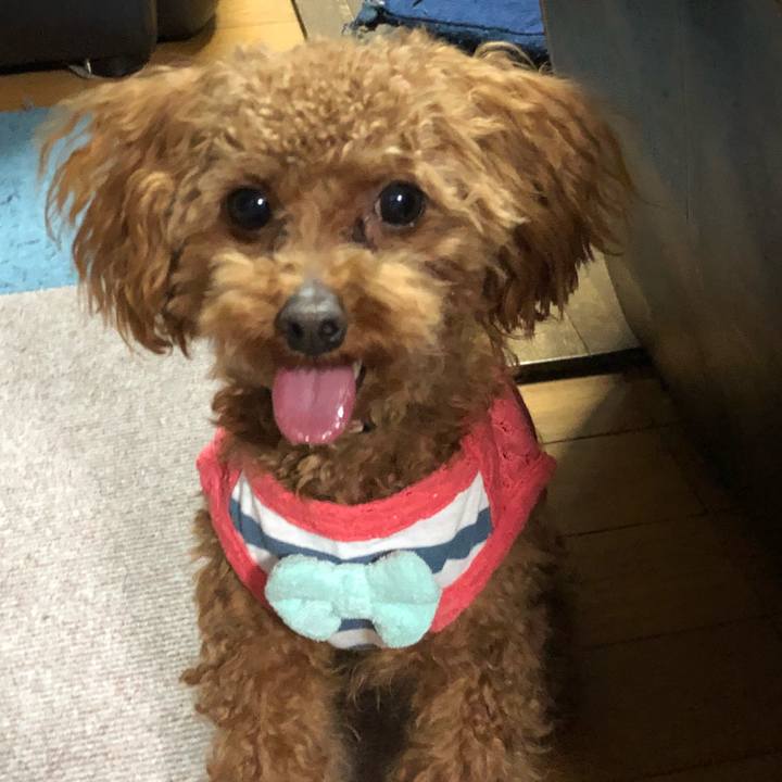 D70bb000 2f16 409d ad96 bd1e7bcdbfbc 1523266458954