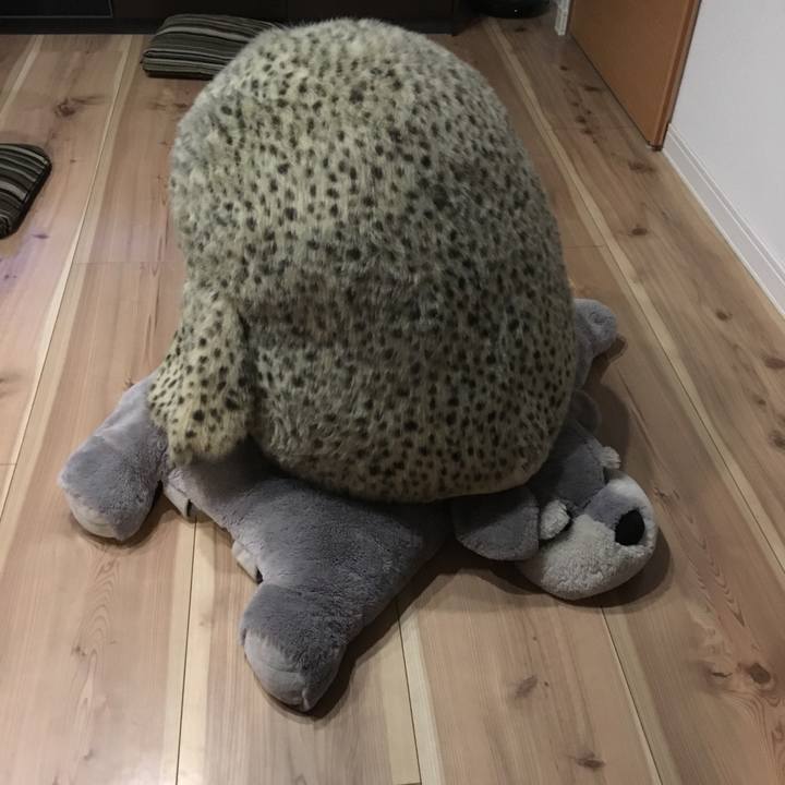 D70be726 d6fe 4516 925e e31c0ee9c5ab 1512295663913