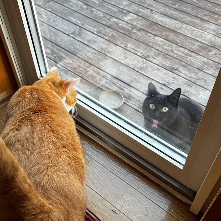 D70c0882 0519 4e02 9600 587a6adf70b0 1708242026007