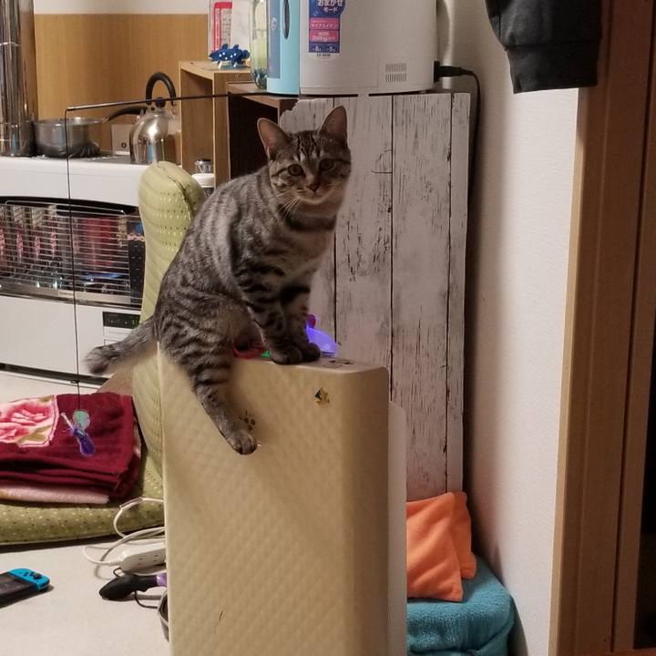 D70c6c04 6624 4187 9f2d d2841a726298 1674209430579