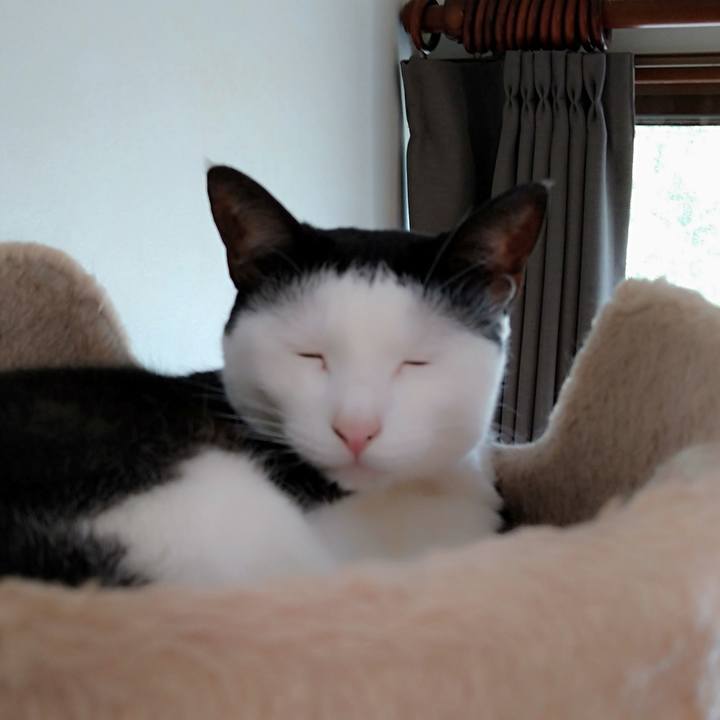 D70c6f9d c0c0 4327 9087 64fe4b608763 1595385254353