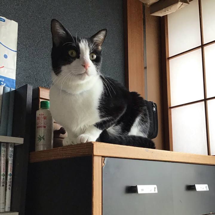 D70cca99 a145 421b 9b46 4a2bcf8f132b 1762051201139