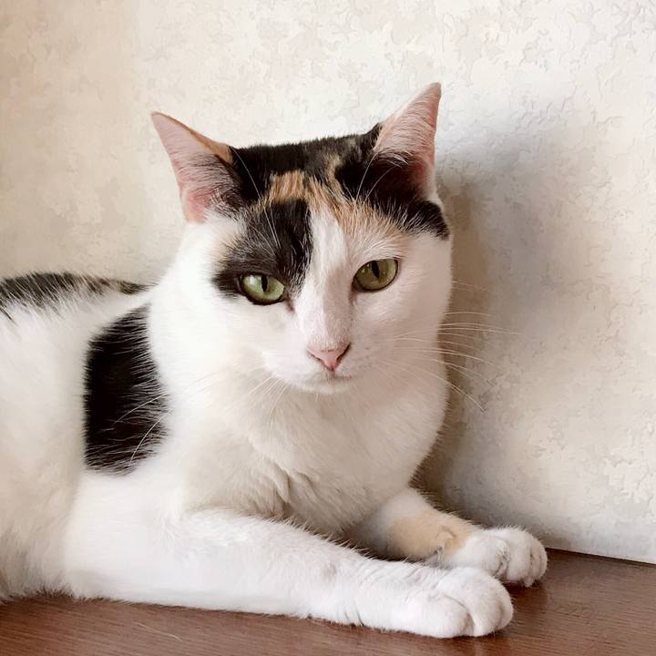 D70d29ff 96c0 4348 b63c 86beb363f271 1535638134178