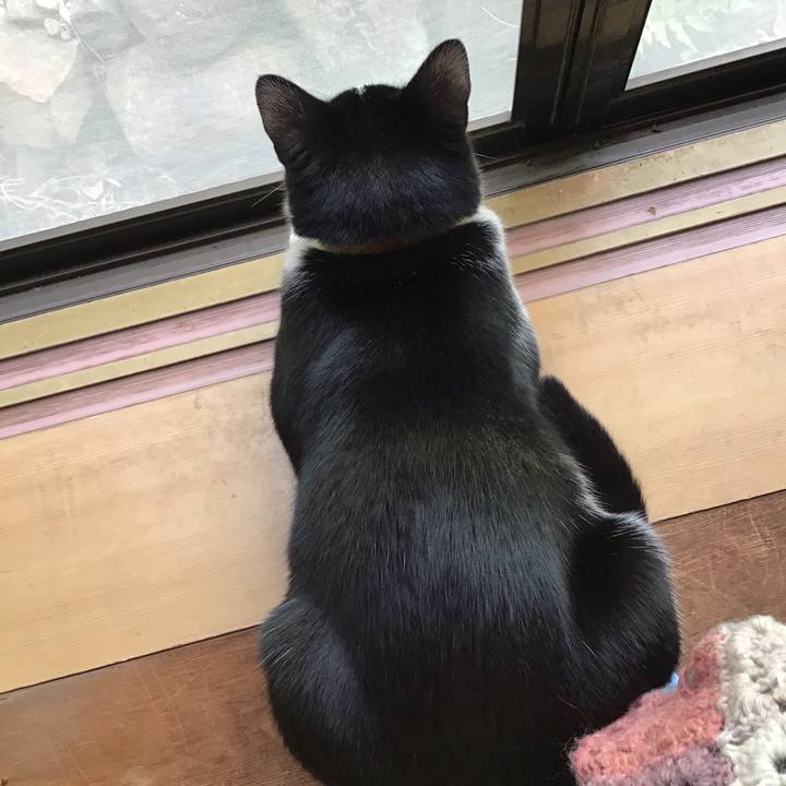 D70d4e8e 4d35 438d a253 5136652b15f1 1650083076354