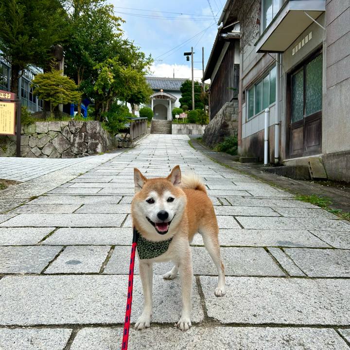 D70d71d8 b75d 41f8 aa74 be0dedf07237 1696503958970