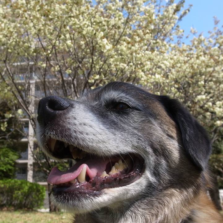 D70dc215 bbba 4abf b331 966e3ce10476 1603759627911