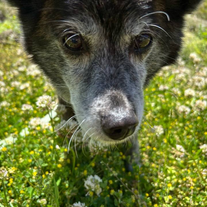 D70e3805 2a00 41fd 921e b5ff36aadfa0 1746999998546