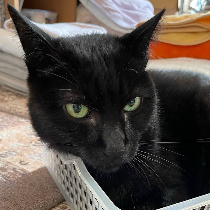 D70ea152 f0c1 4255 9191 4f5963d9c6a6 1636250749769