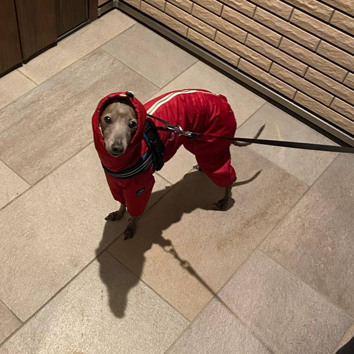 D70f0fc9 cded 44b9 ba6f 8a01fef8f78c 1767774254116