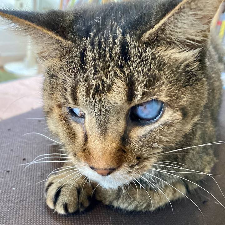 D70f3749 1899 4ae4 9c1d 2ff3c1923b76 1659226803563