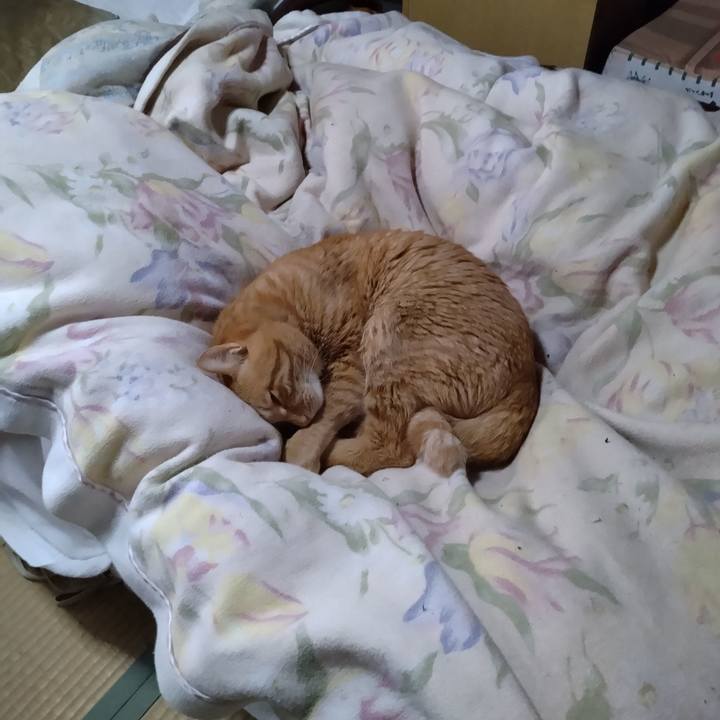 D70f9d0b a1a6 4d7d ba48 a375bc68dcfb 1701211407131