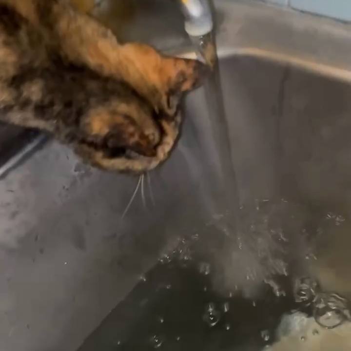 D70fa0c3 1b1e 4a7c be50 7b9c79b7edc7 1772746258601