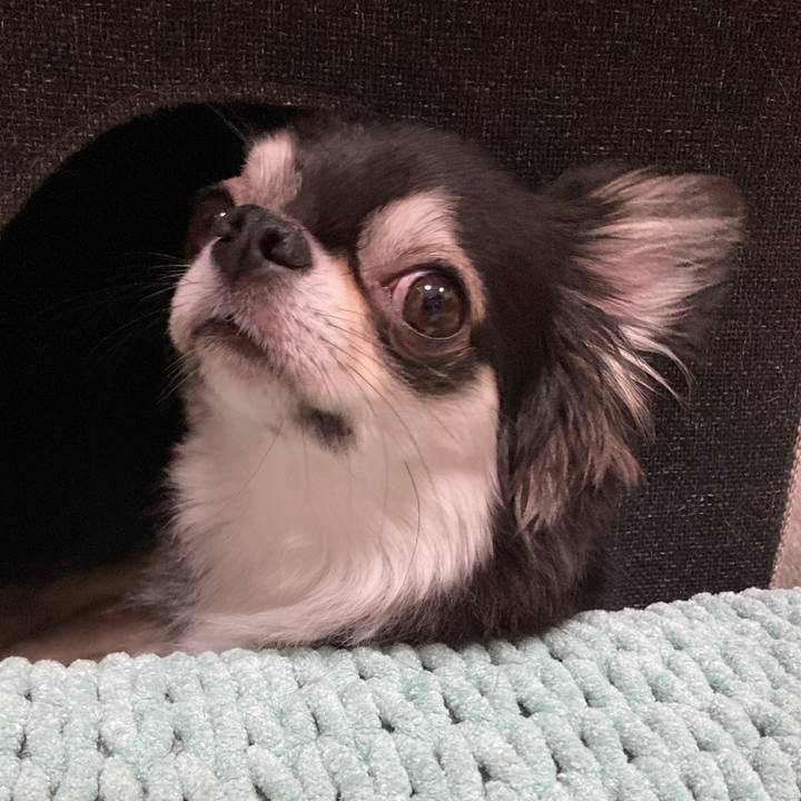 D70fa48a 1958 4cd2 9246 0aa3c7299f3f 1657459159396