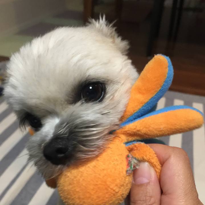 D70fb849 08c8 47f9 b081 538bc9ca9be9 1525693201986