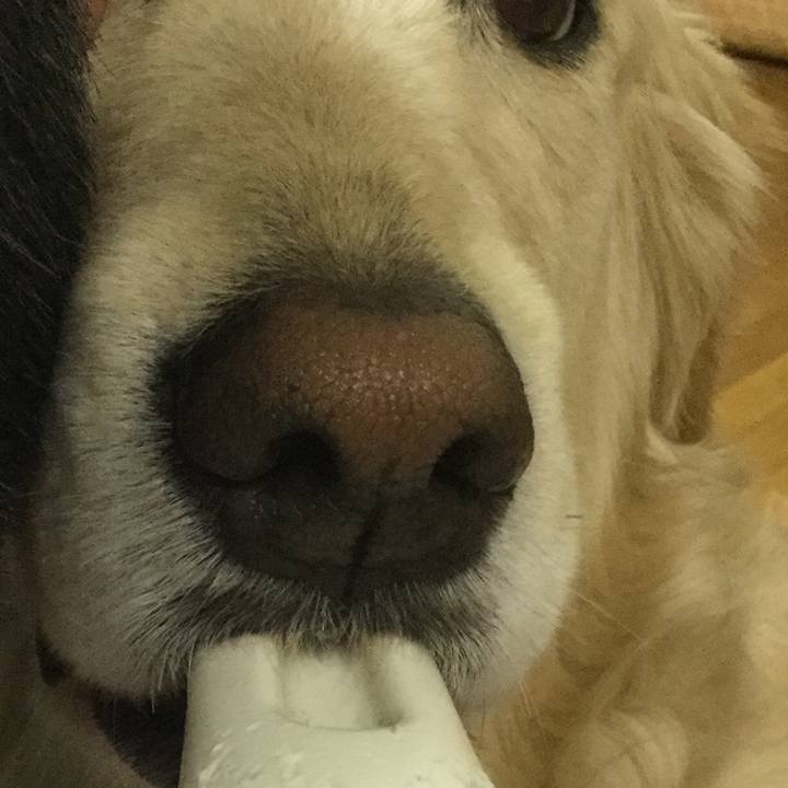 D70fba59 17e4 48ff a033 2e56c70c5932 1523449524717