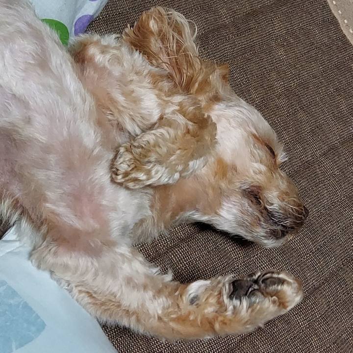 D7102975 ab53 4be1 ab02 9a82f914a63e 1655969830717