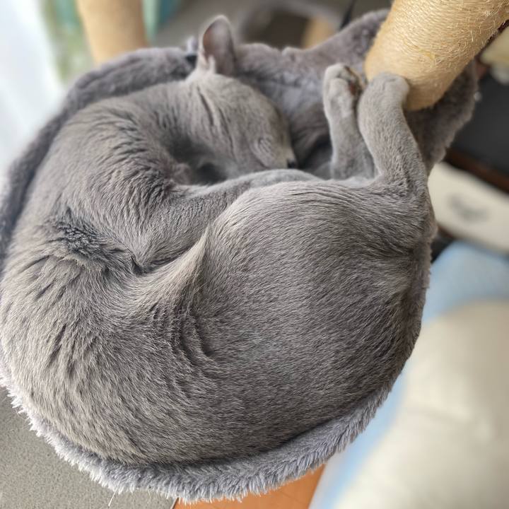 D7102fd9 e16d 45e2 a47d 644fd6d851ef 1634189047479