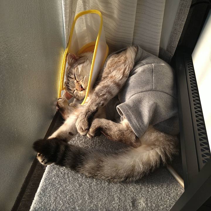 D71038c1 140b 4f9e a88e a50dc2789498 1741506729671