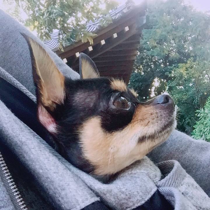 D710471d 276f 4089 931c ca1e6b382d23 1509851685538