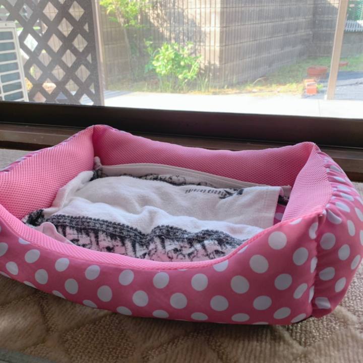 D710669f c644 4672 818d 61249005890e 1653345216052