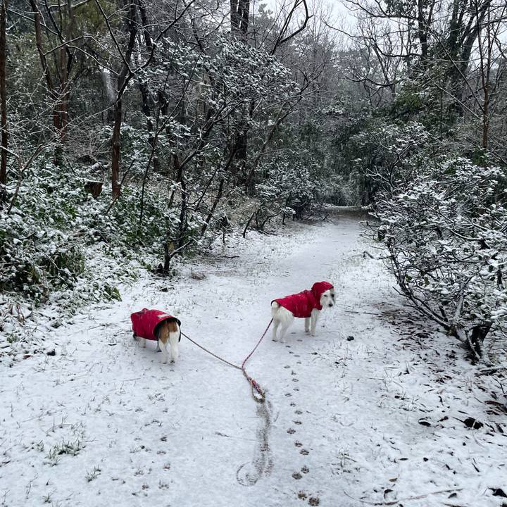 D710e20f 0cec 465b a557 8e0d798d1197 1767138121556