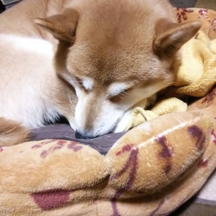 D710fb8d be71 49a5 813b 0bfe849dab7d 1575466634411