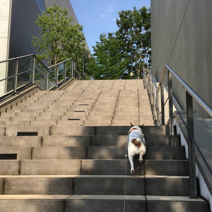 D7110cea 1465 4b93 ae7f c642e7c01e48 1622590065725