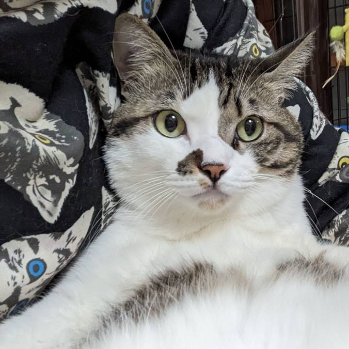 D71123c5 66cd 4aa3 827c d13ce4d65f7b 1702818439106