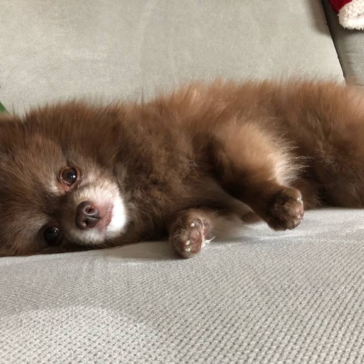 D7113fc9 803d 4fa1 b9c9 d9e401ff3520 1543276870773