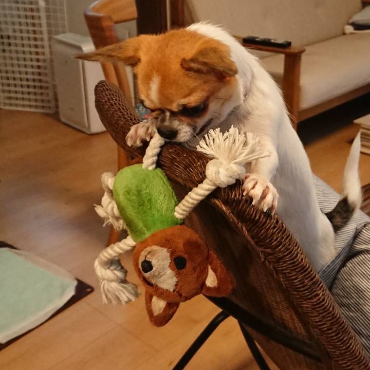 D711716a 07a6 4e3d 97e6 58f4111d6827 1535934115359