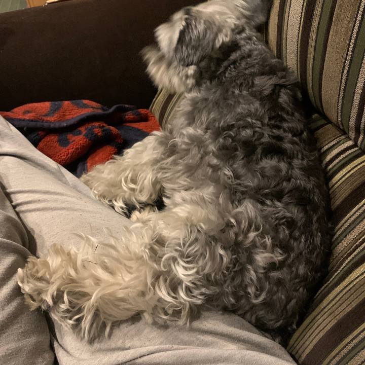 D7118364 cb3a 4d59 9fe2 25d45fe02d5d 1650969086385