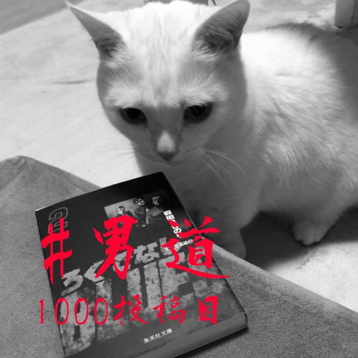 D7119f84 cac9 4975 a01f 7a777ab35302 1559134057397