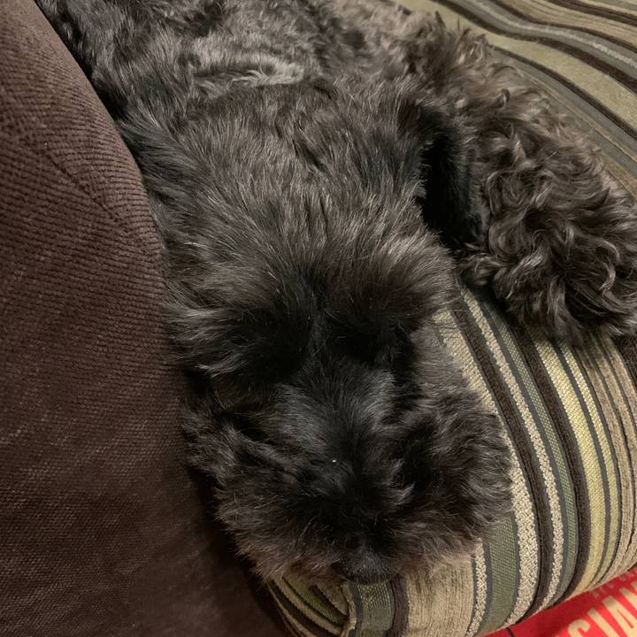 D711c465 8fe3 4111 8bee 20a63dc1d40e 1599448598831