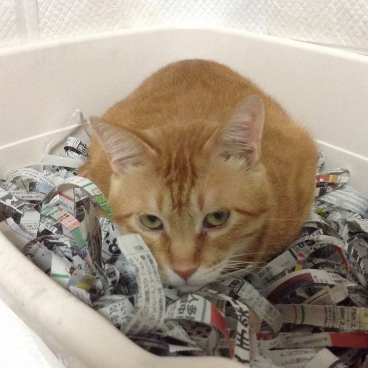 D711d4a8 b87c 4b17 ac9d 3084a23ee352 1600940300253