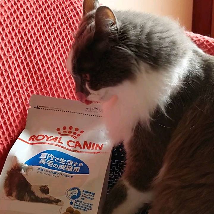 D71213e0 ff58 46d9 b5b3 d9ce2a25da7d 1585465682295