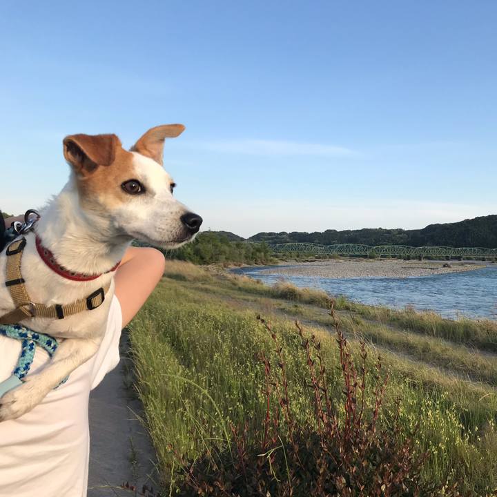 D7124715 b0ef 4608 b007 a2f47bd697cb 1589454415194