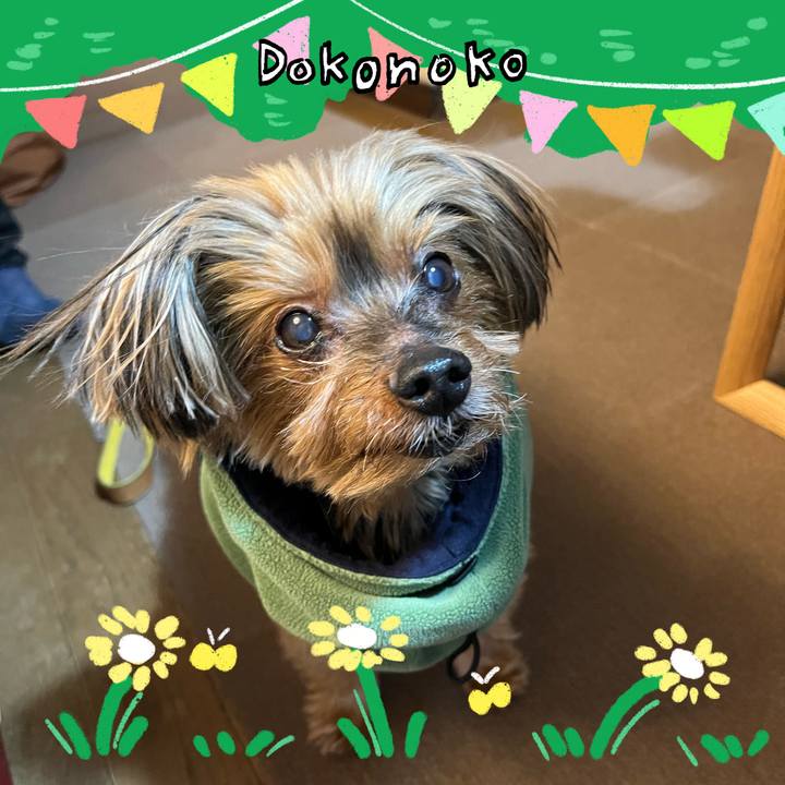 D7125eb6 0ad1 4712 85d2 66f7026c61e0 1711144568153