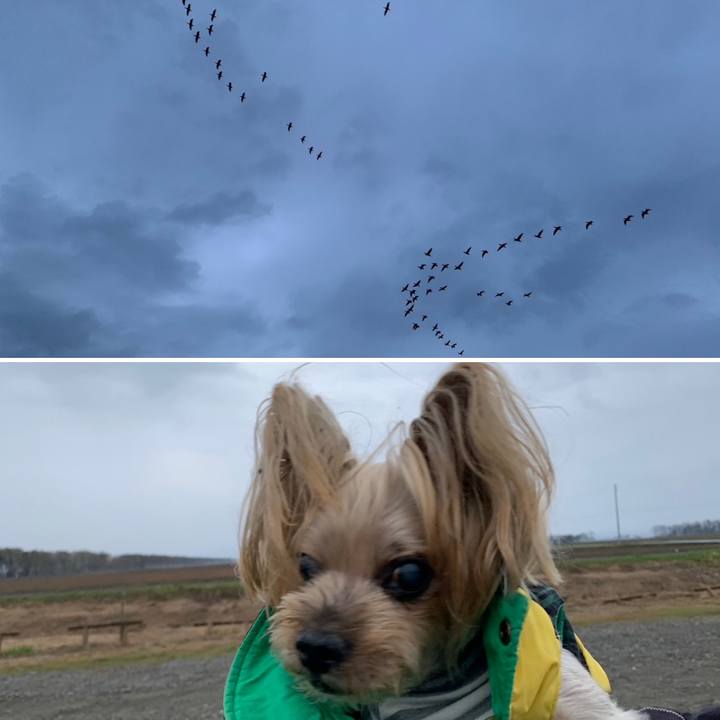 D71286ad 7b45 4938 a520 0315add87df5 1682760657388