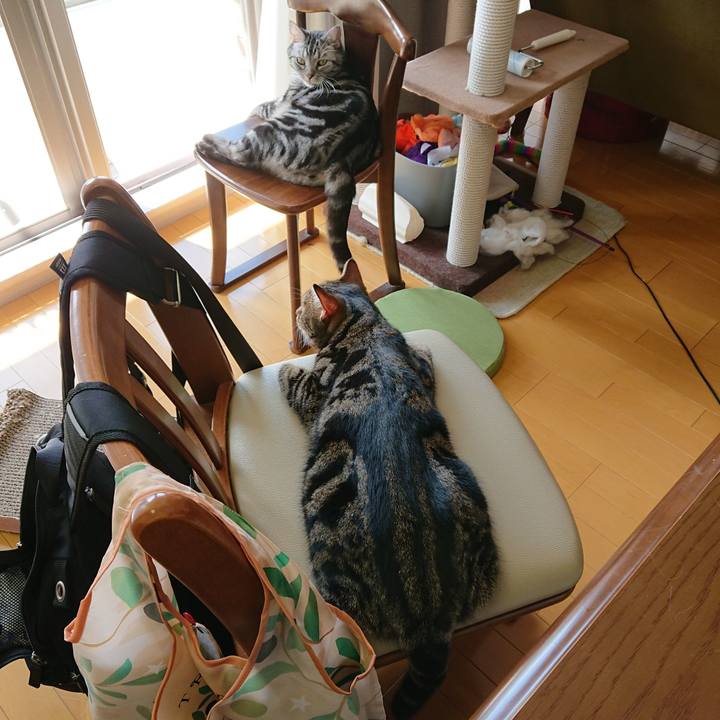 D712cf04 2c4a 4b08 b771 93bfc46ecff2 1569384999227