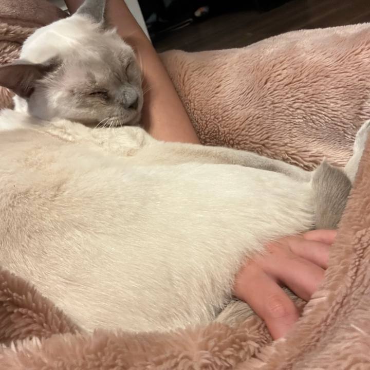 D712e46f c0cd 4175 9ac8 20333ae2d909 1738461006012