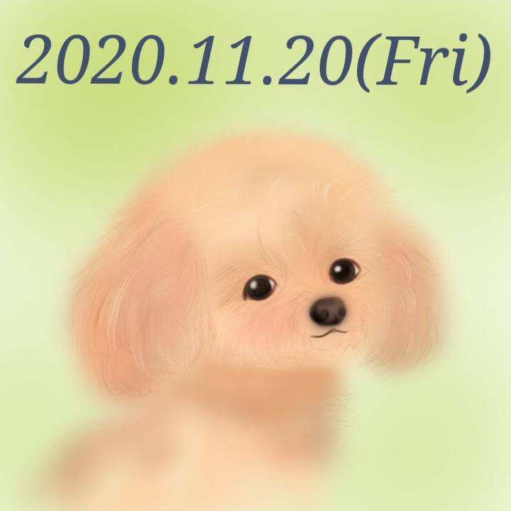 D71317e8 b35a 442a b464 84f67d782661 1605870898654