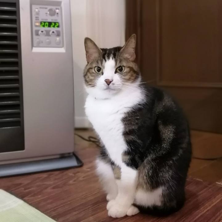 D7132641 f297 4204 9092 887dbf3675ec 1578904557719