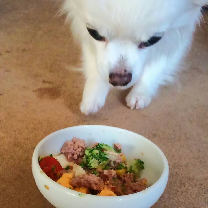 D7134316 7187 4faa bfc8 52ac2dedbac6 1518389243490