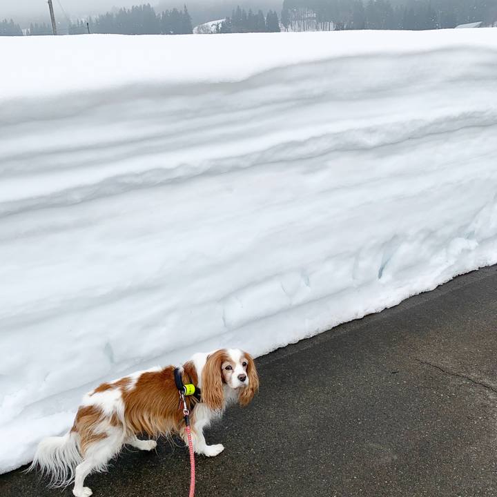 D7134a86 98d2 444c af22 a27f86251e91 1610678908910