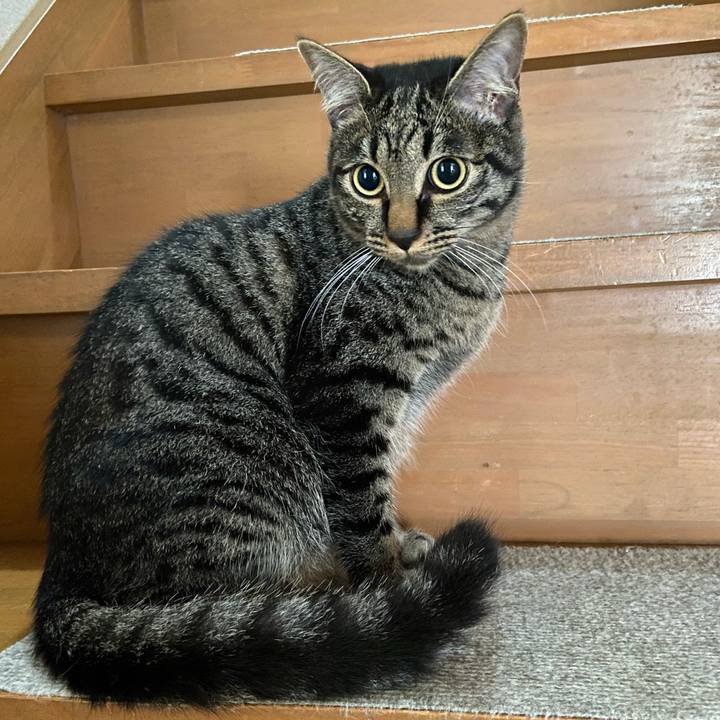 D7136693 d71b 40c7 80da 332c54fafeea 1623417539507