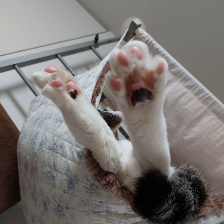 D7136aab 3502 445e b38c 84852e535140 1718659224297