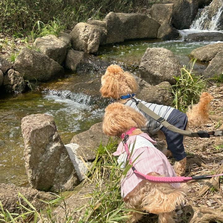 D7136be0 7a71 493f b2bc 34a82972eeb8 1712464221958