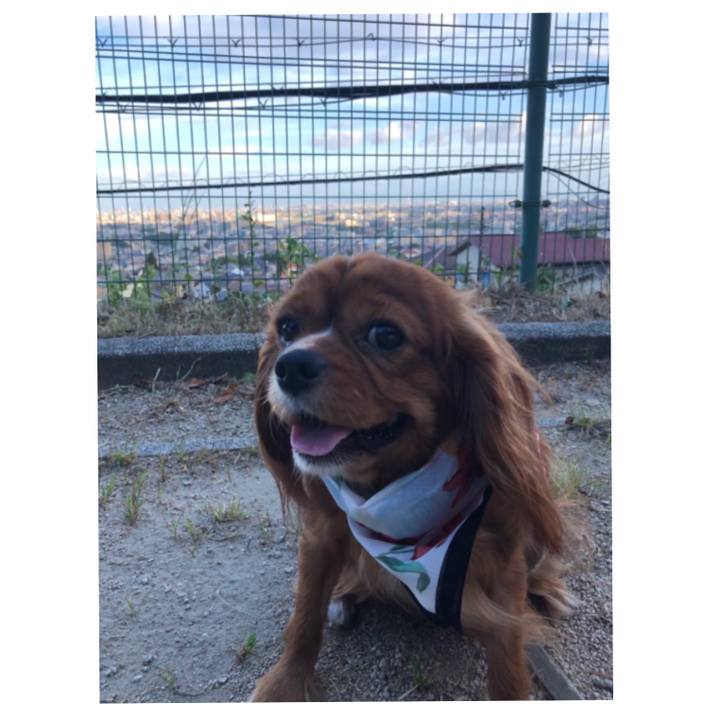 D7136c06 4c8c 469a 98f1 4a68e7a3992b 1565733922485