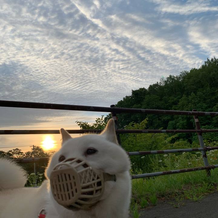 D7136c82 6790 4a1f 801c da8fe89be59e 1597351286201