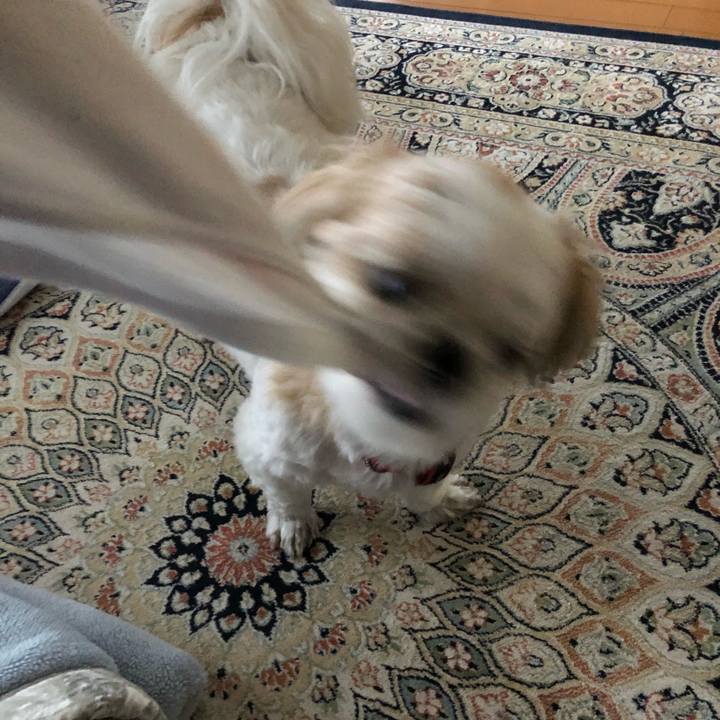 D7136eae 93ff 45eb ac18 4268f5664863 1559770854207